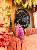 VIP CLINIC logo