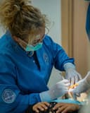 Clínica Rodrigues - Leiria logo